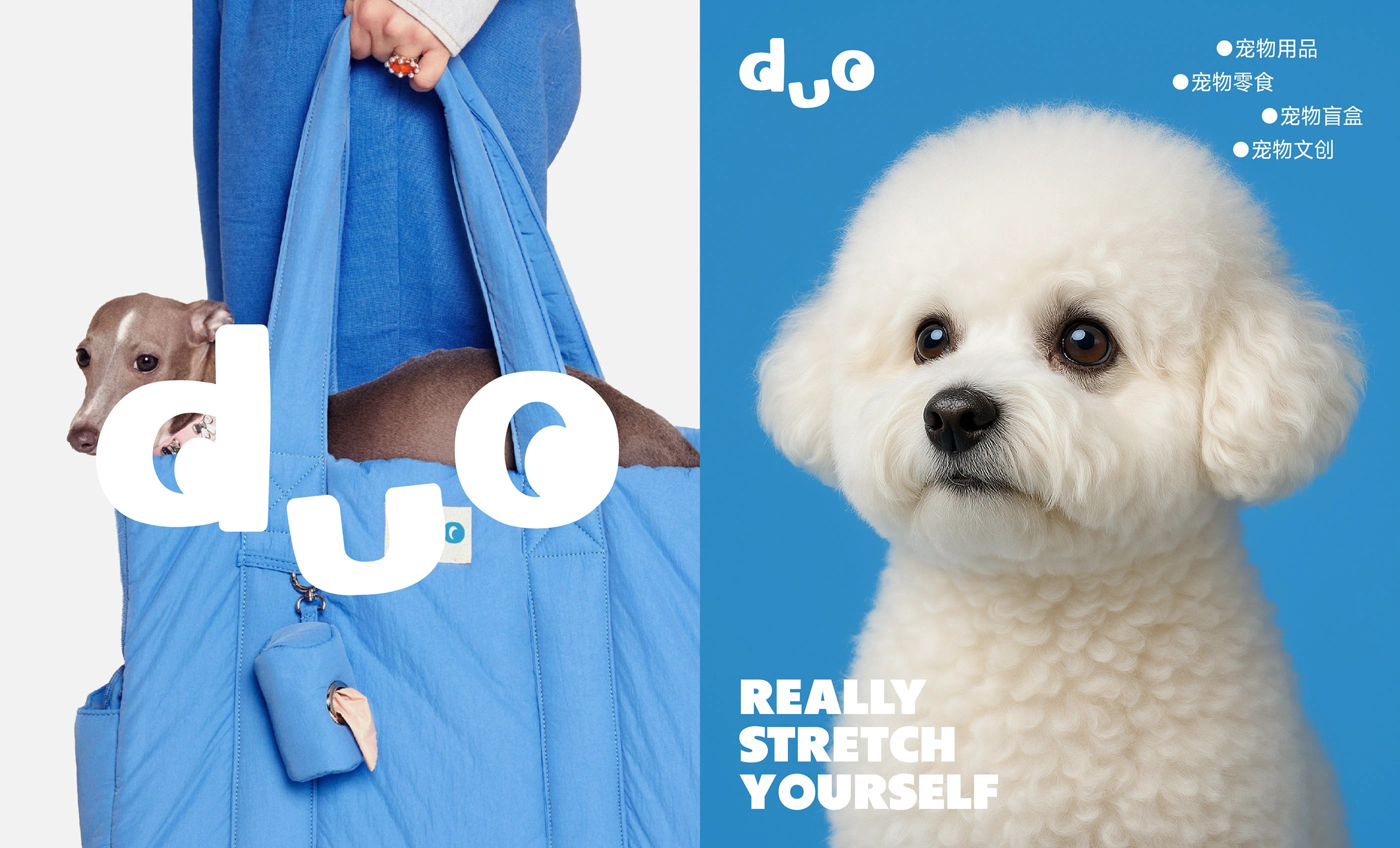 duo|宠物品牌设计 visual 15