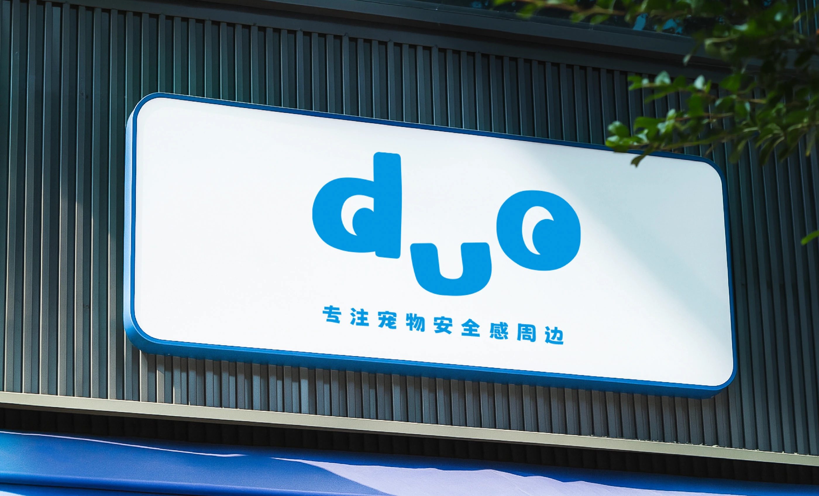 duo|宠物品牌设计 visual 31
