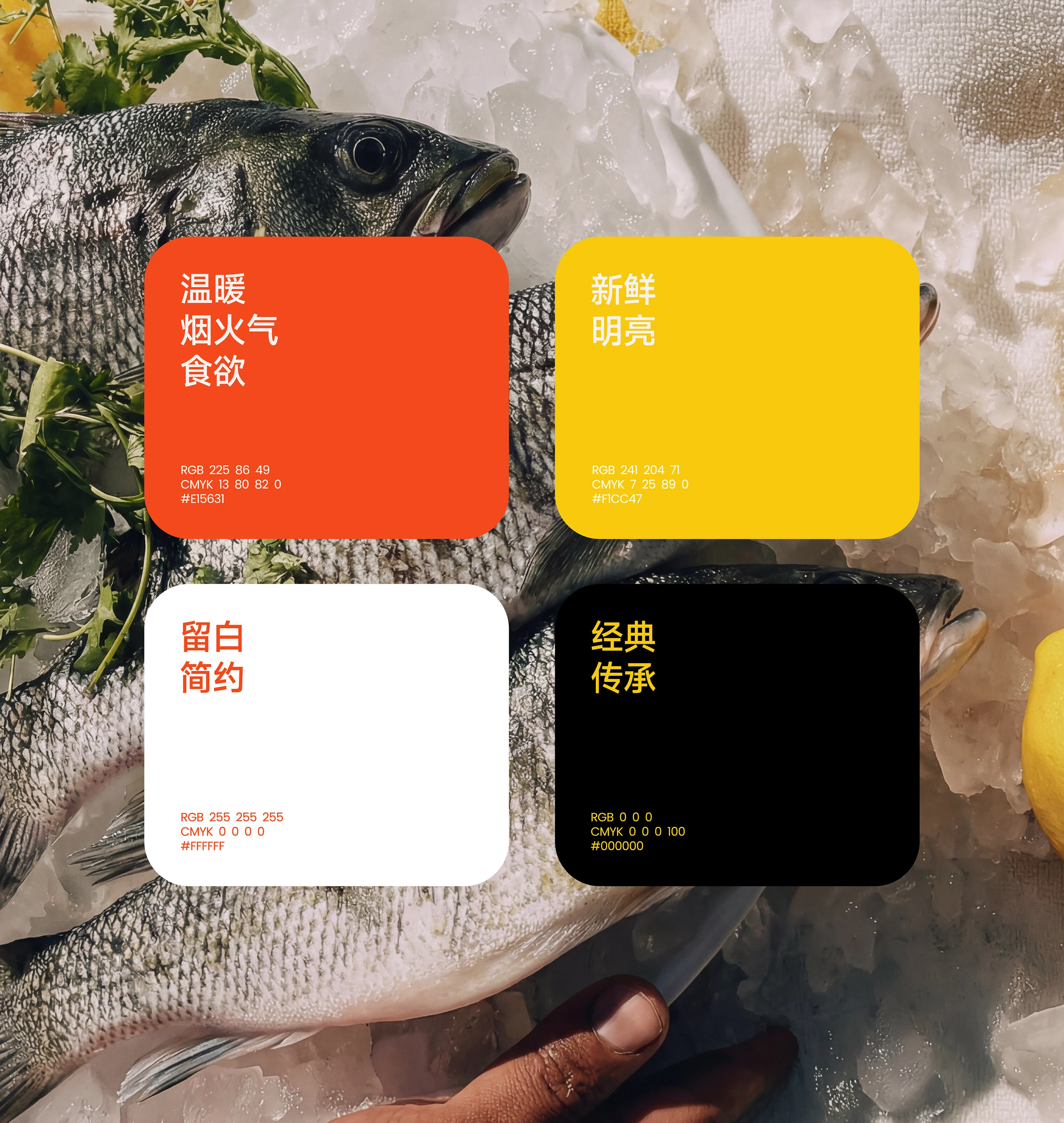 蔡蔡渔火|海鲜火锅品牌设计 visual 17