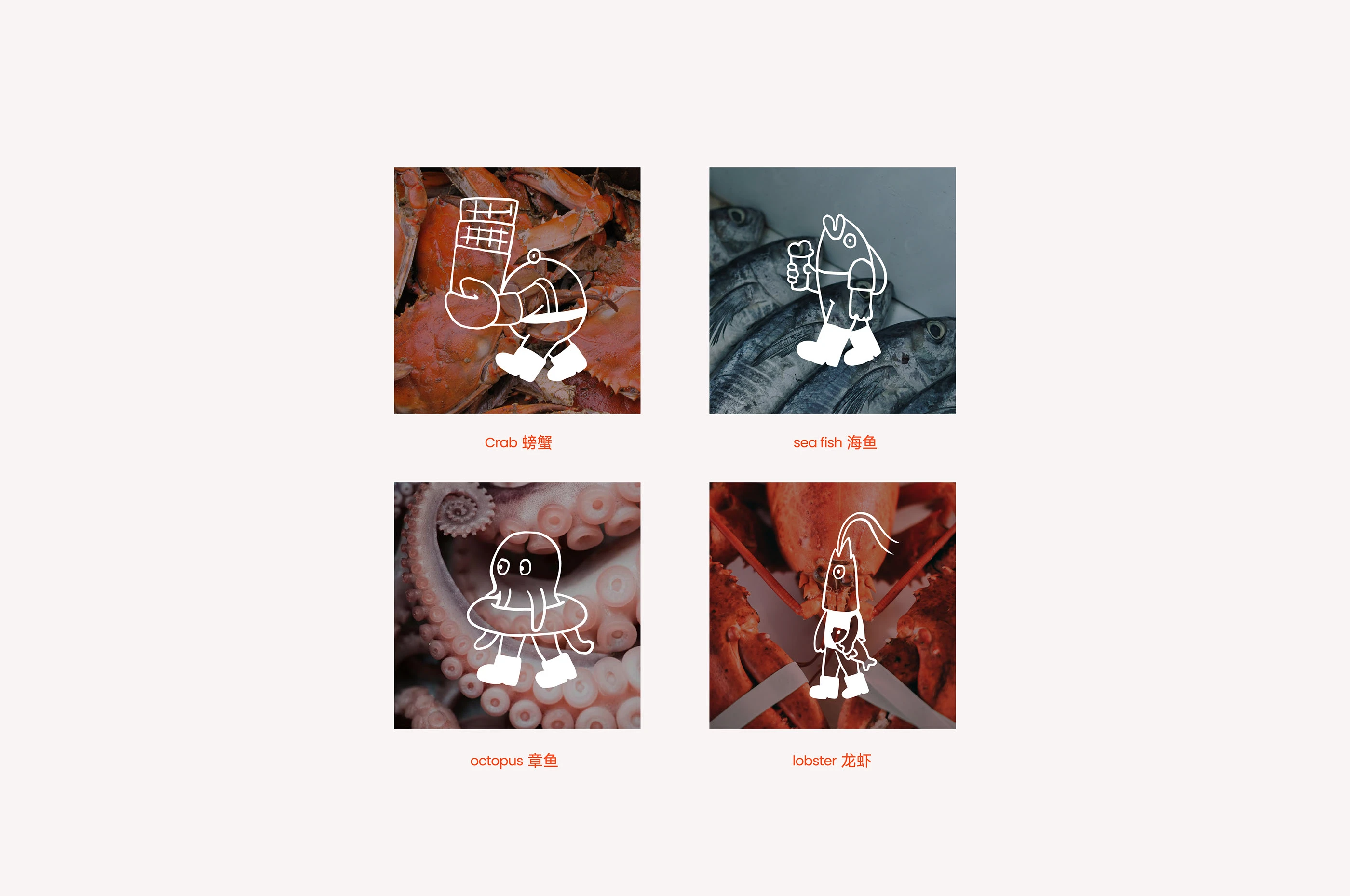 蔡蔡渔火|海鲜火锅品牌设计 visual 19