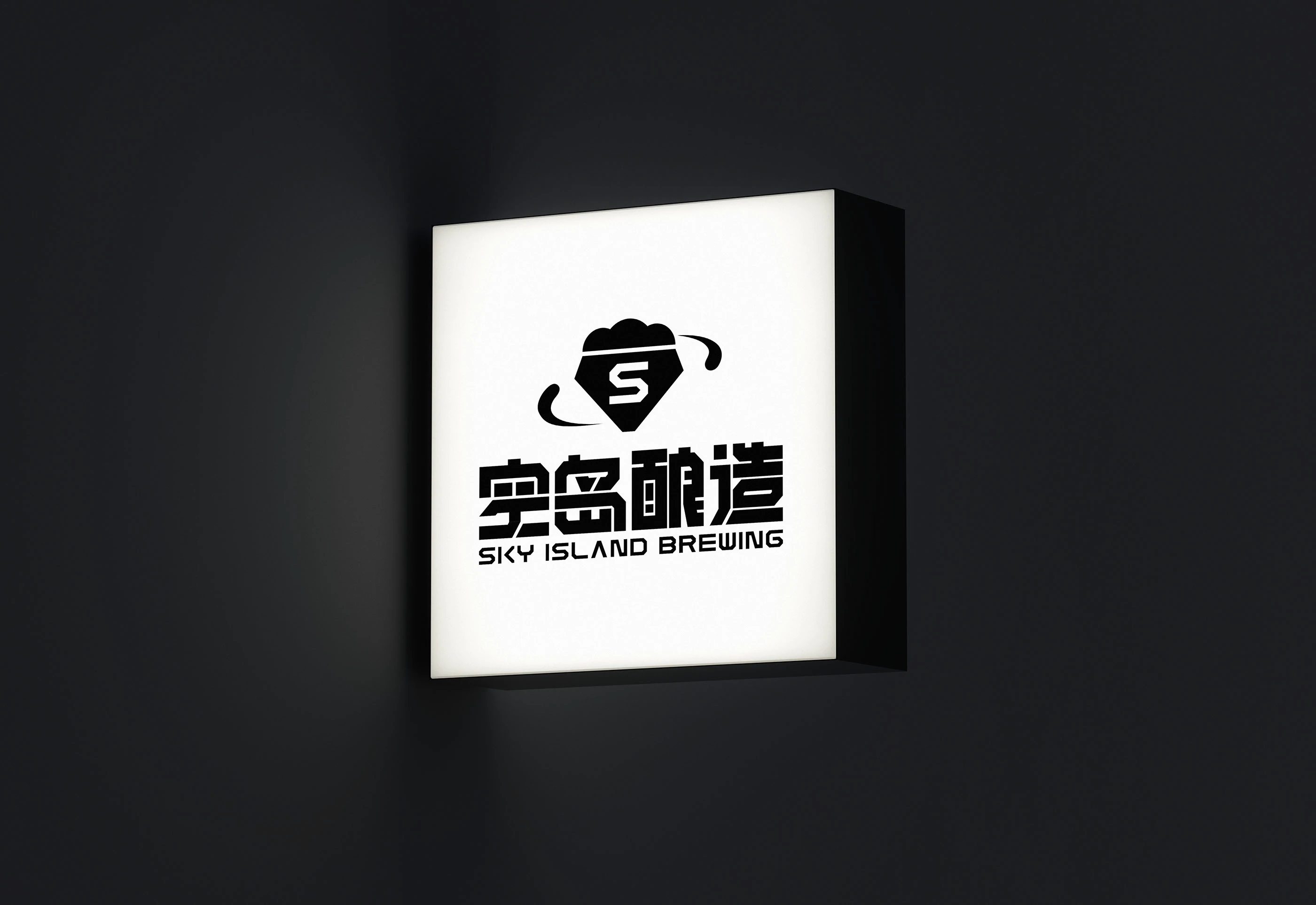 空岛酿造｜精酿啤酒包装设计 visual 8