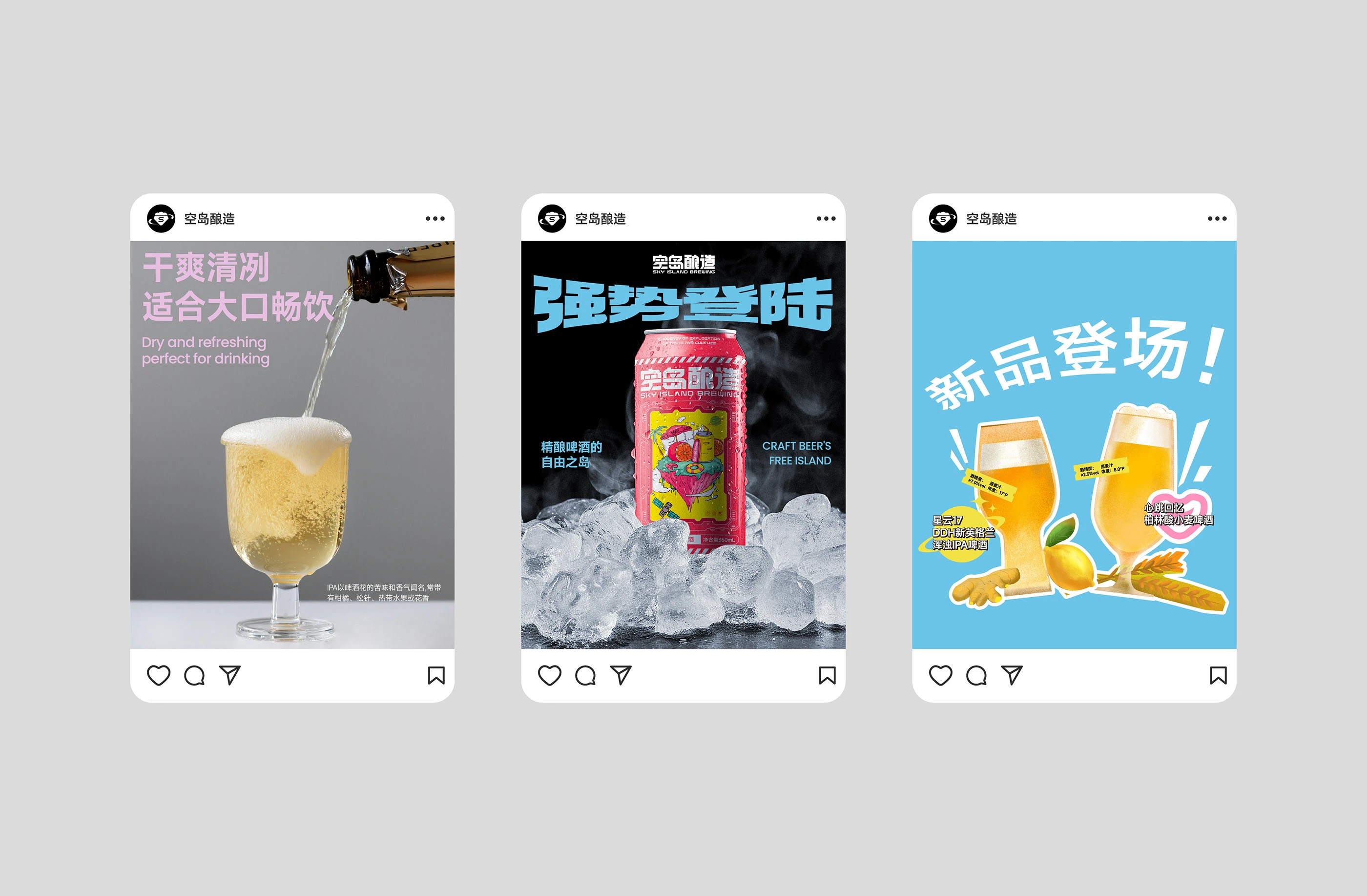 空岛酿造｜精酿啤酒包装设计 visual 14
