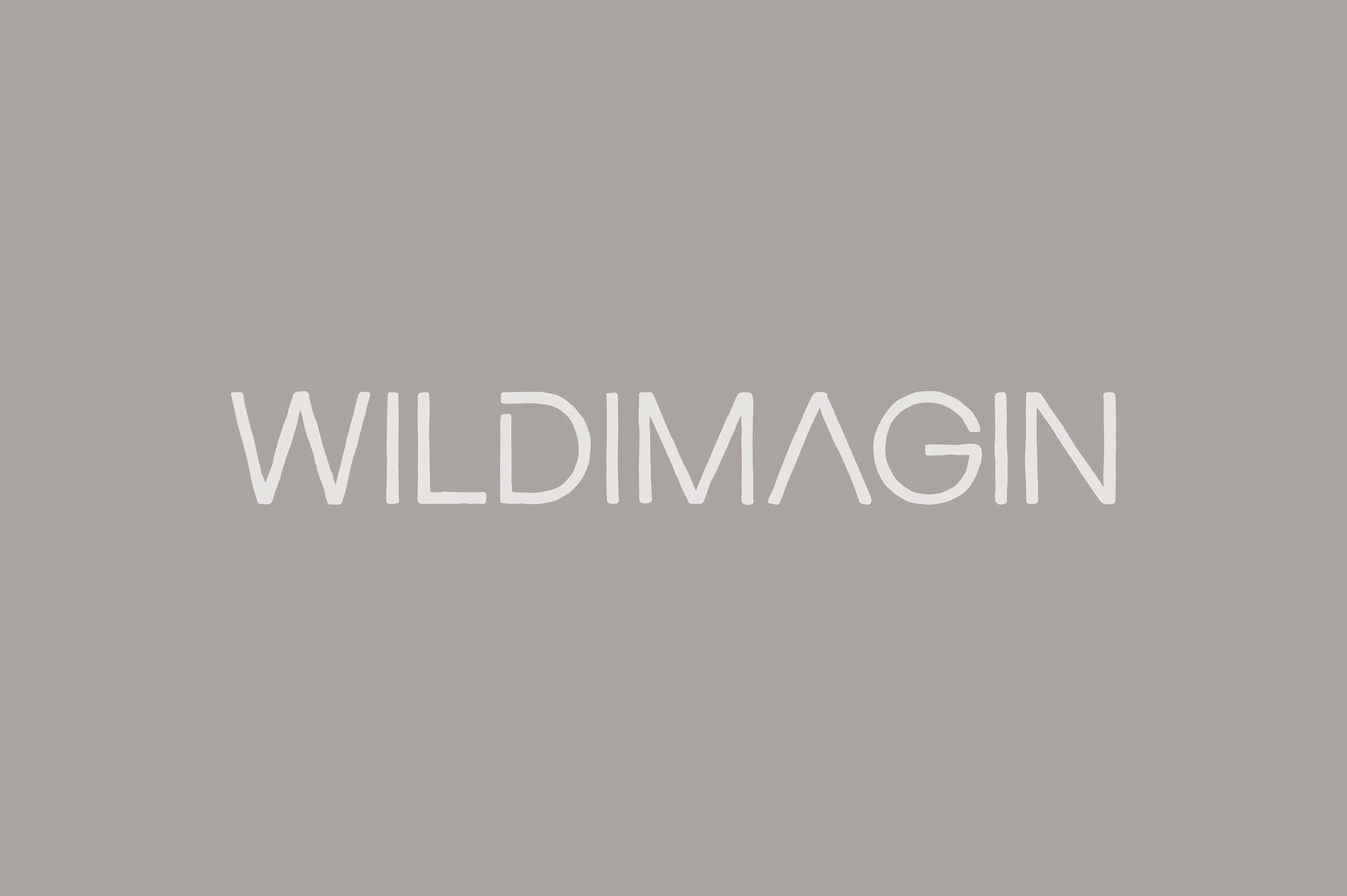 野&WILDIMAGIN｜家居品牌设计 visual 4